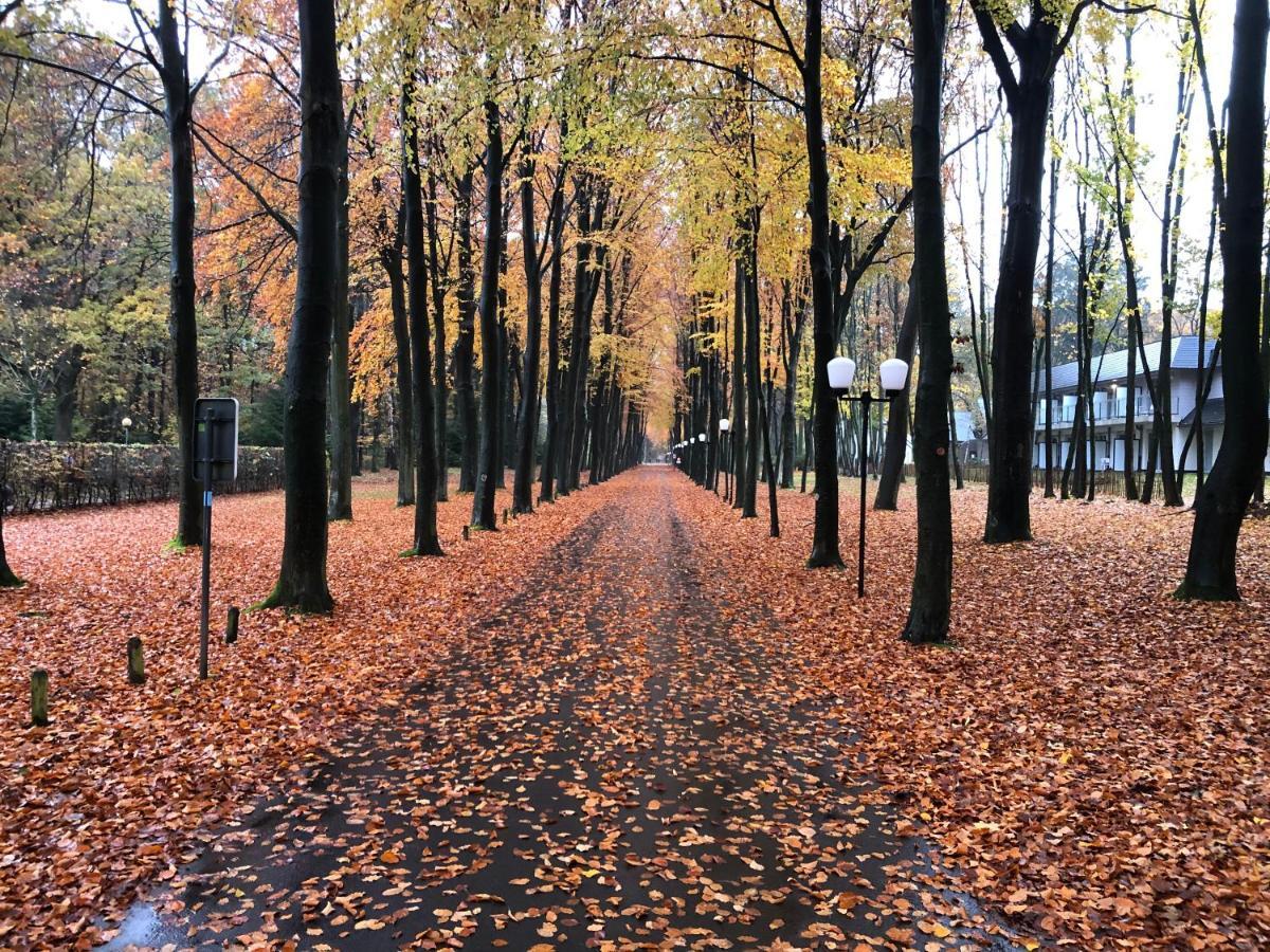 Den 7 Hengelhoef Aan de Wolfsberg Екстериор снимка